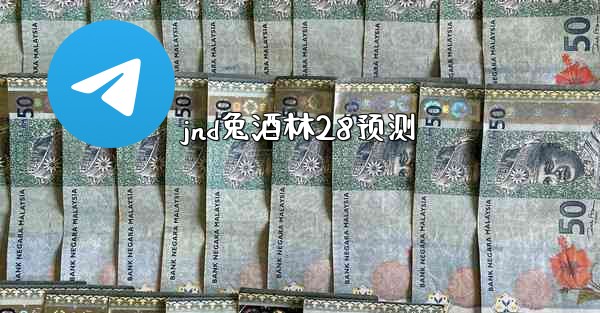 jnd兔酒林28预测