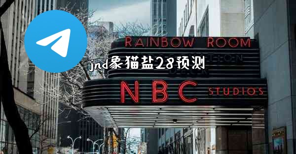 jnd象猫盐28预测