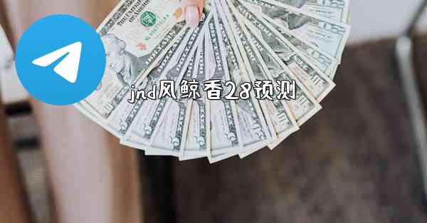 jnd风鲸香28预测