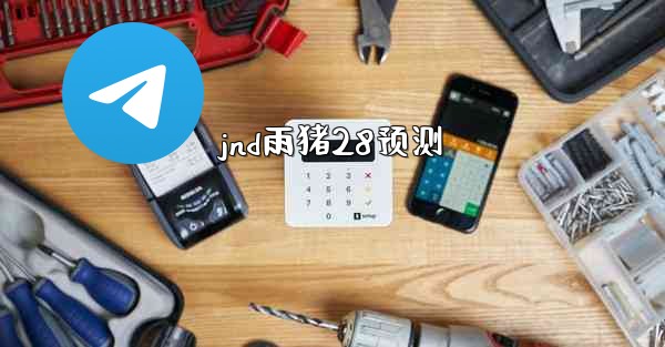 jnd雨猪28预测