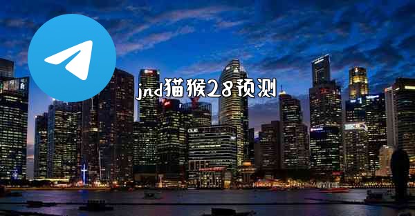 jnd猫猴28预测