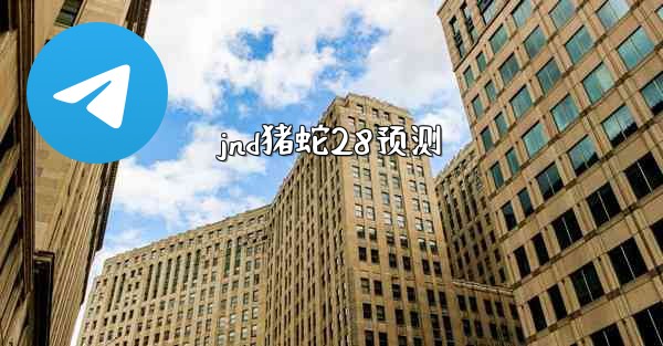 jnd猪蛇28预测