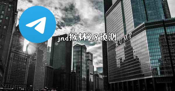 jnd猴林28预测