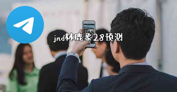 jnd林鹿象28预测
