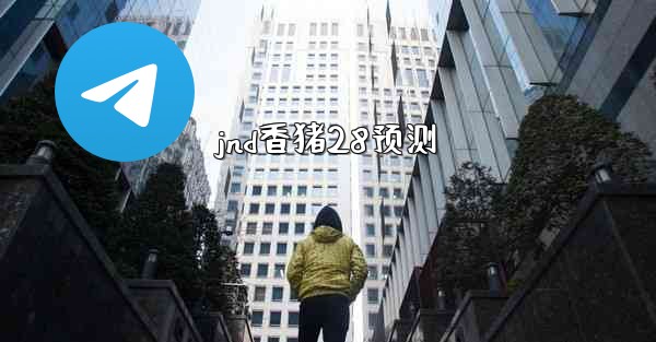 jnd香猪28预测