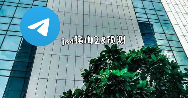 jnd猪山28预测