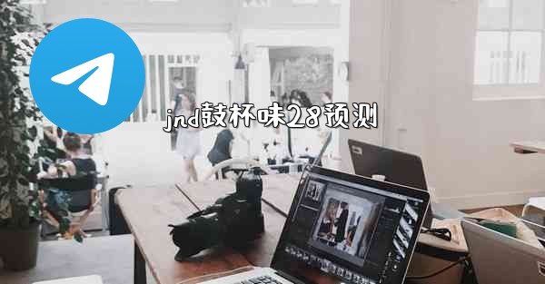 jnd鼓杯味28预测