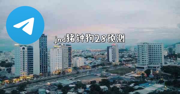 jnd猪钟狗28预测