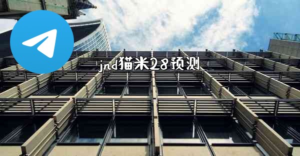 jnd猫米28预测
