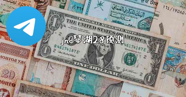 jnd琴湖28预测