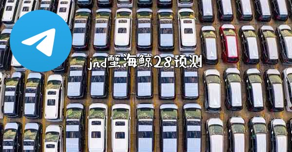 jnd蟹海鲸28预测