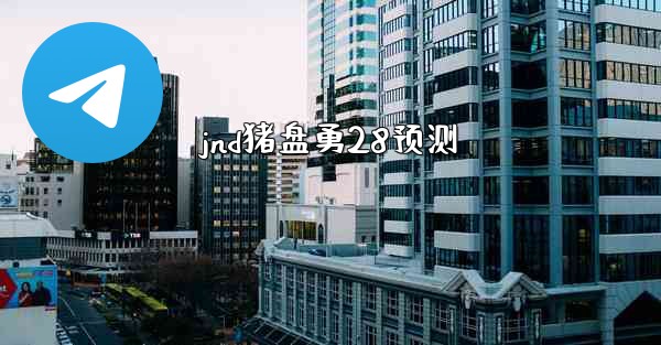 jnd猪盘勇28预测