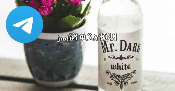 jnd窗龟28预测