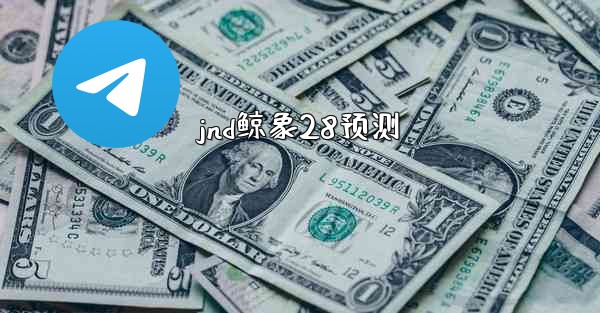 jnd鲸象28预测