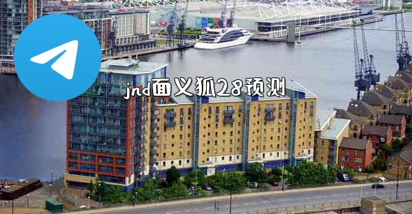 jnd面义狐28预测