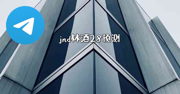 jnd林酒28预测