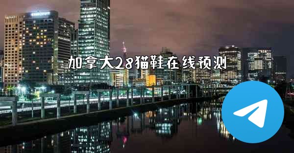 加拿大28猫鞋在线预测