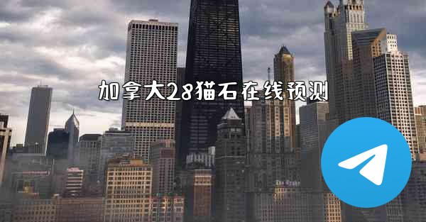 加拿大28猫石在线预测