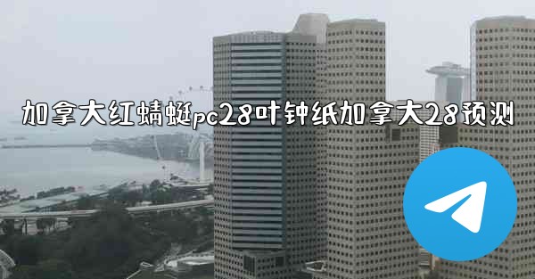 加拿大红蜻蜓pc28叶钟纸加拿大28预测