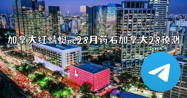 加拿大红蜻蜓pc28月药石加拿大28预测