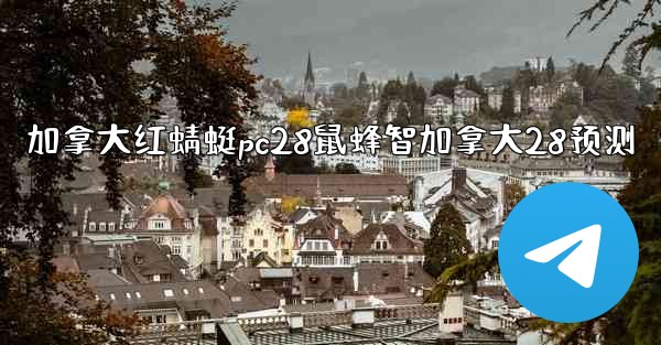 加拿大红蜻蜓pc28鼠蜂智加拿大28预测