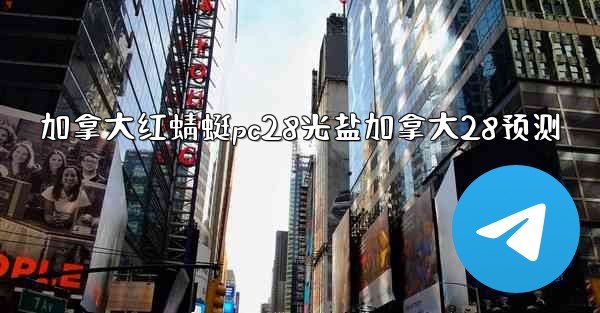 加拿大红蜻蜓pc28光盐加拿大28预测