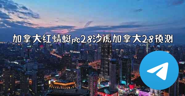 加拿大红蜻蜓pc28沙虎加拿大28预测