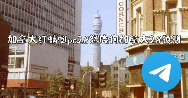 加拿大红蜻蜓pc28怒鹿狗加拿大28预测