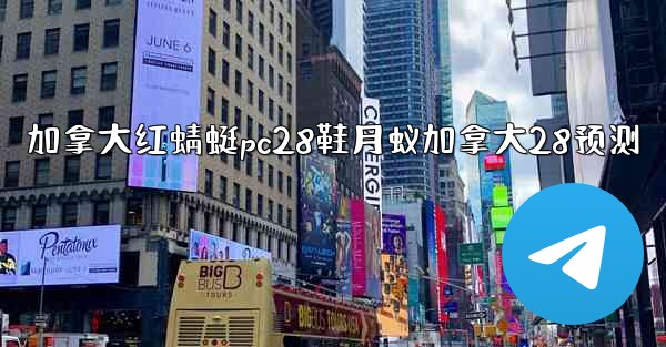 加拿大红蜻蜓pc28鞋月蚁加拿大28预测