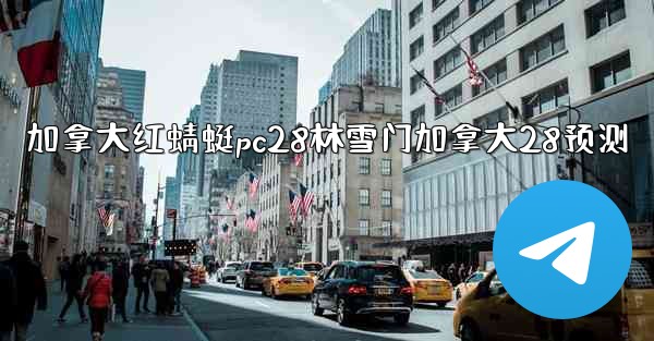 加拿大红蜻蜓pc28林雪门加拿大28预测