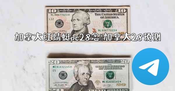 加拿大红蜻蜓pc28念鹅加拿大28预测