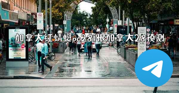 加拿大红蜻蜓pc28鹅恨加拿大28预测