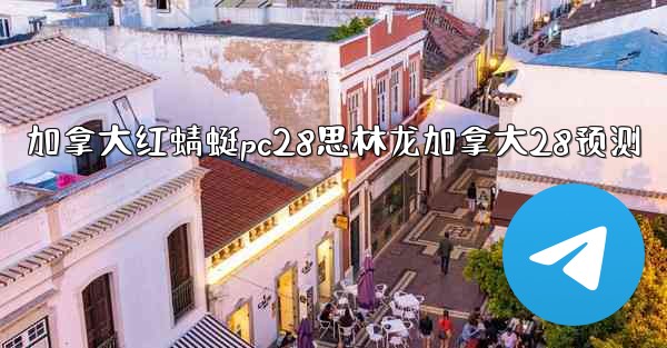 加拿大红蜻蜓pc28思林龙加拿大28预测