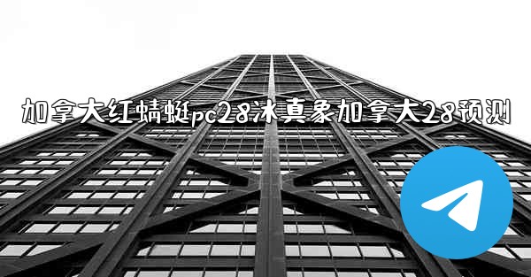 加拿大红蜻蜓pc28冰真象加拿大28预测