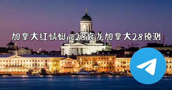 加拿大红蜻蜓pc28哀龙加拿大28预测