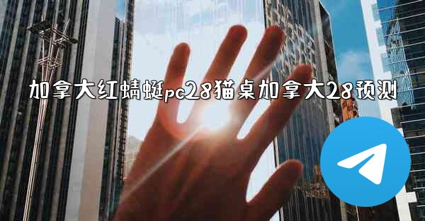 加拿大红蜻蜓pc28猫桌加拿大28预测