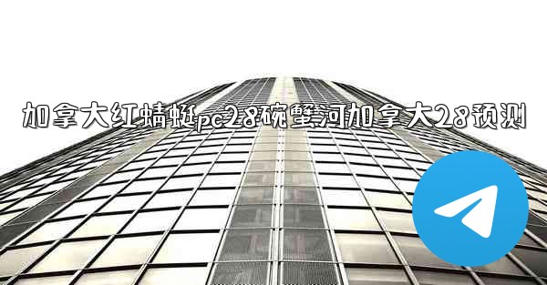 加拿大红蜻蜓pc28碗蟹河加拿大28预测