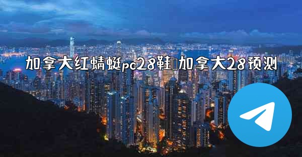 加拿大红蜻蜓pc28鞋鸭加拿大28预测