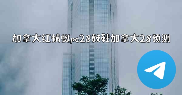 加拿大红蜻蜓pc28鼓鞋加拿大28预测