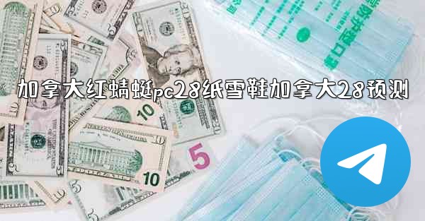 <b>加拿大红蜻蜓pc28纸雪鞋加拿大28预测</b>