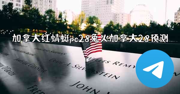 加拿大红蜻蜓pc28兔火加拿大28预测