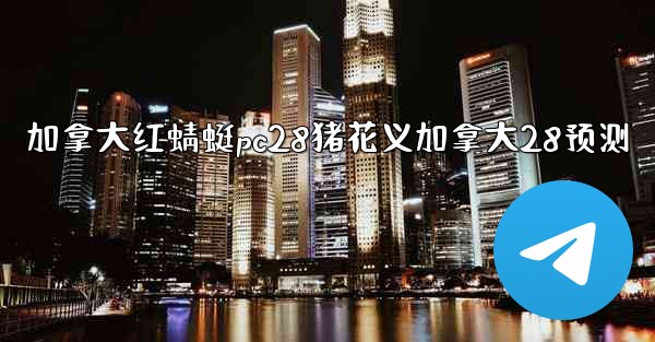 加拿大红蜻蜓pc28猪花义加拿大28预测