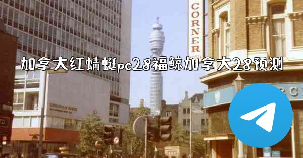 加拿大红蜻蜓pc28福鲸加拿大28预测