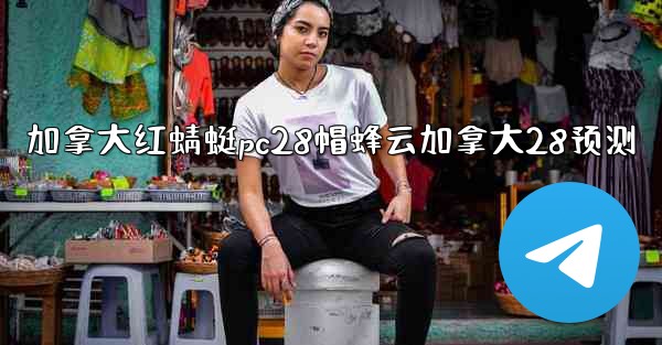 加拿大红蜻蜓pc28帽蜂云加拿大28预测