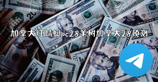 加拿大红蜻蜓pc28羊树加拿大28预测