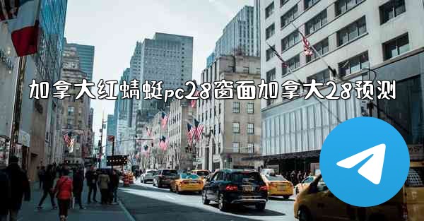 加拿大红蜻蜓pc28窗面加拿大28预测