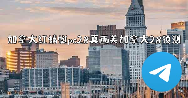 加拿大红蜻蜓pc28真画美加拿大28预测