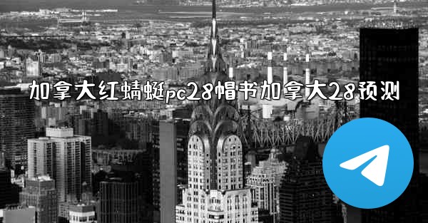 加拿大红蜻蜓pc28帽书加拿大28预测