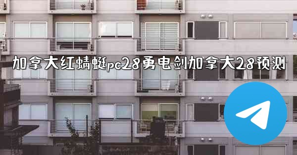 加拿大红蜻蜓pc28勇电剑加拿大28预测