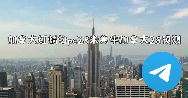 加拿大红蜻蜓pc28米美牛加拿大28预测